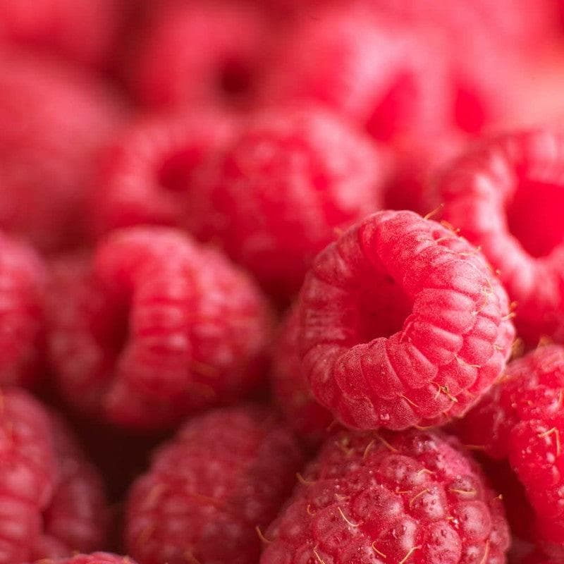 Anisana Fruitpasta Classic framboos 1 kg Classic Coco 1 kg/Bestel eenvoudig online/Anisana