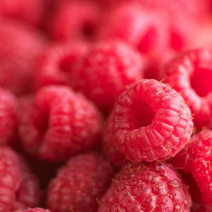 Anisana Fruitpasta Classic framboos 1 kg Classic Coco 1 kg/Bestel eenvoudig online/Anisana
