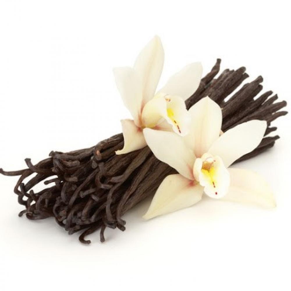 Prova Madagascar Bourbon 10 vanillestokjes Madagascar Bourbon vanille/Bestel eenvoudig online/Anisana